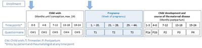 Mobile Responsive App—A Useful Additional Tool for Data Collection in the German Pregnancy Register Rhekiss?